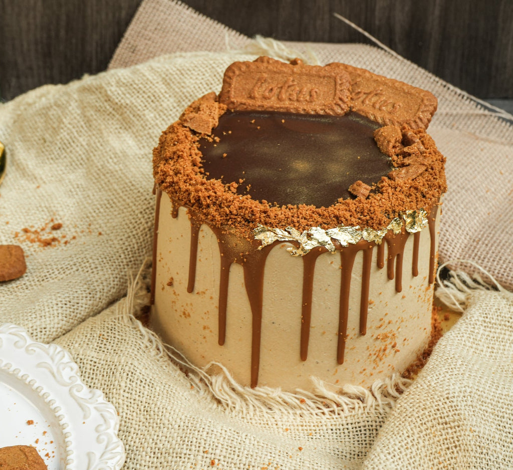chocolate biscoff cake
